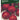 Beetroot Boltardy Seeds
