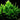 Java Fern - Loose - Tropical Water Live Aquarium Plants