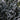 Ophiopogon planiscapus Nigrenscens 'Black Mondo Grass' 2L