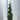 Buxus Spiral 1.4-1.5m | Buxus sempervirens Topiary | Box Spiral