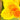 Canna Golden Lucifer - Marginal Pond Plants  - Pond Plants - Water Plants - EP112