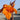 Canna 'Wyoming'  - Marginal Pond Plants  - Pond Plants - Water Plants - Bog Plants - EP009