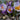 Crocus sieberi 'Hubert Edelsten' Bulb