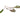 Cryptocoryne Beckettii - Aquascaping Live Aquarium Plants Tropical Aquatic Nano Lincolnshire Pond Plants