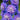 Delphinium 'Highlander Bolero' - 2026