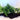Anubias + Java Fern Bogwood - Tropical Water Live Aquarium Plants