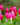 Dicentra spectabilis - 2026