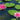 Ellisiana Water Lily - Pond Plants - DW03