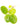 Frogbit (Hydrocharis morsus-ranae) - DF002
