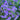 Geranium pratense 'Plenum Violaceum' - 2026