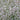 Gypsophila paniculata 'Bristol Fairy' - 2026