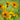 Helianthus salicifolius - 2026