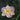 Hemerocallis 'Bestseller' - 2026