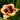 Hemerocallis 'Eye on America' - 2026