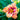 Hemerocallis 'Tigger'