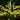 Hosta Dragonfly - BPD045 Packs