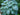 Hosta 'Big Mama'