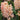 Hyacinthus orientalis 'Gipsy Queen' Bulb