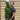 Buxus Spiral 1.2m | Buxus sempervirens Topiary | Box Spiral