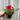 Petunia 'Trailing Surfinia Red' 9cm