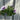Blue Vein Trailing Petunia 'Surfinia' (9cm Pot)
