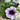 Blue Vein Trailing Petunia 'Surfinia' (9cm Pot)