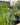 Wooden Garden Pond Kits