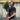 Standard Bay Tree | Laurus nobilis (70-80cm)