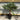 Trachycarpus Fortunei (160-80cm/ TRUNK 40-50cm) 25L