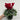 Cyclamen Red (9cm/13cm Pot Size)