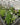 Composite Sleeper Pond Kits