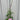 Salvia x superba Merleau Rose  9cm
