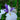 Iris Ensata 'Fortune' - BP059 Packs