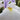 Iris Ensata Emotion - BP057 Packs