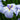 Iris ensata 'Dinner Plate Ice Cream'