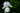 Iris Germanica 'Immortallity'