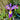 Iris Pseudacorus 'Holden's Child' - MP057A Packs