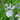 Iris sibirica (Perrys Blue) - Marginal Pond Plants - BP118