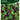 Lettuce French Salad Leaves Mixed