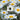 Leucanthemum Ãî Superbum 'Sunny Side Up'