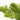 Lincspplants 8X Live Floating Plants Hornwort fast growing aquarium plant