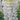 Lupin 'Gallery White' 9cm / 2L