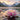 Nymphaea 'Martha'