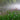 Mentha Aquatica - MP076 Packs