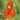 Mimulus cardinalis (Scarlet monkey flower) - Marginal Pond Plants - MP079