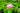 Monarda 'Bee-Lieve'