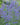 Nepeta Faassenii 'Walker'S Low'
