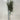 Olive Tree 160-170cm