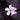 Oxalis Triangularis - Marginal Pond Plants - BP092