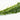 Oxygenating elodea Plant, for All Types of Freshwater Tropical Aquariums, x5 Bunches
